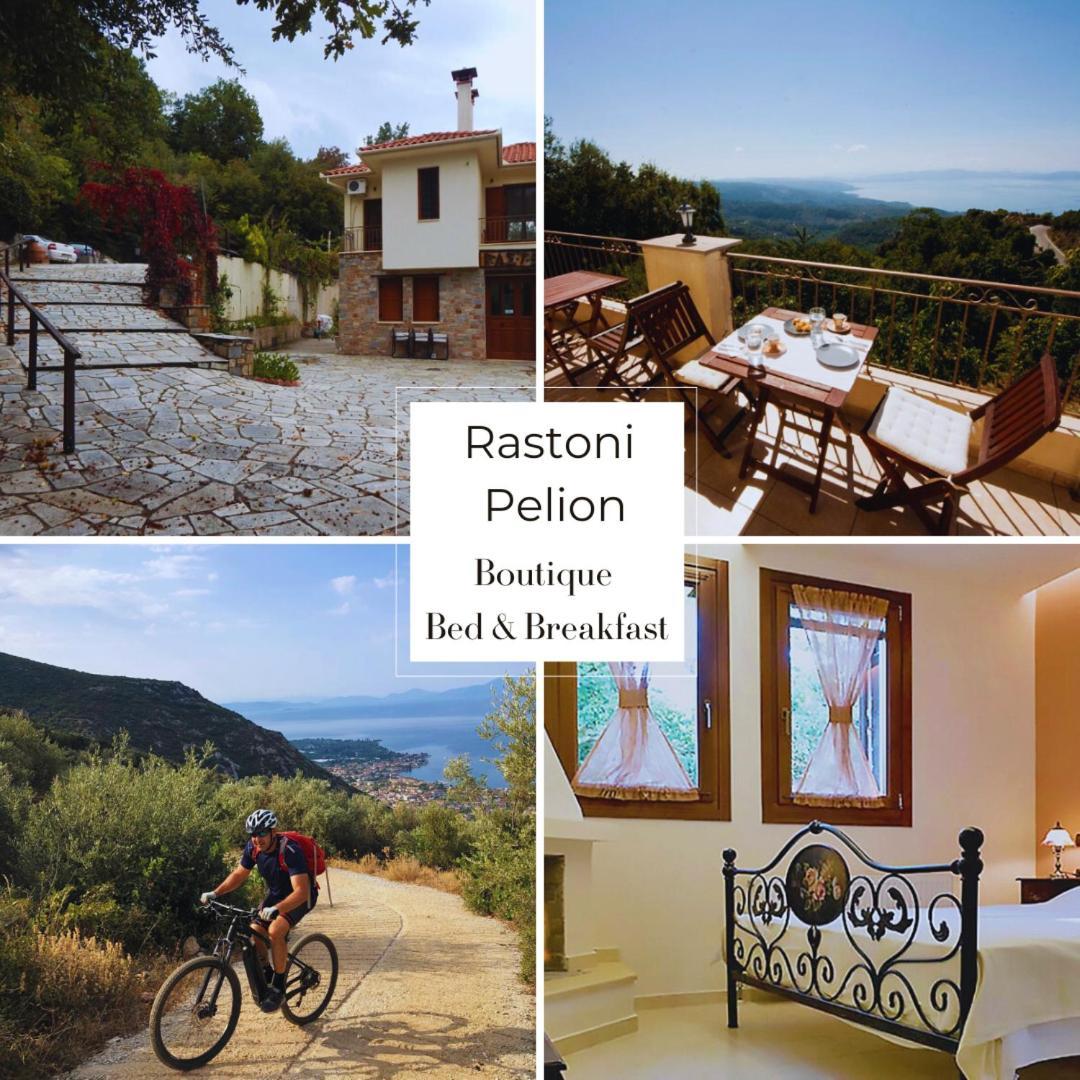 Hotel Rastoni Pelion Vyzítsa Exterior foto