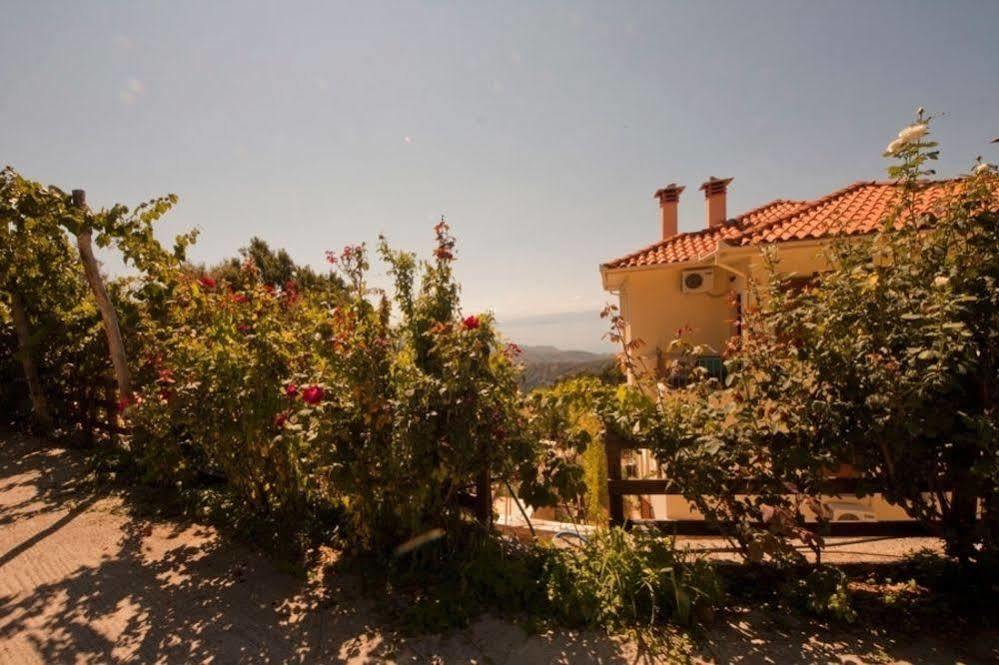 Hotel Rastoni Pelion Vyzítsa Exterior foto
